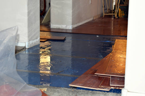 Professional Water Damage Restoration technician working in Girard, KS